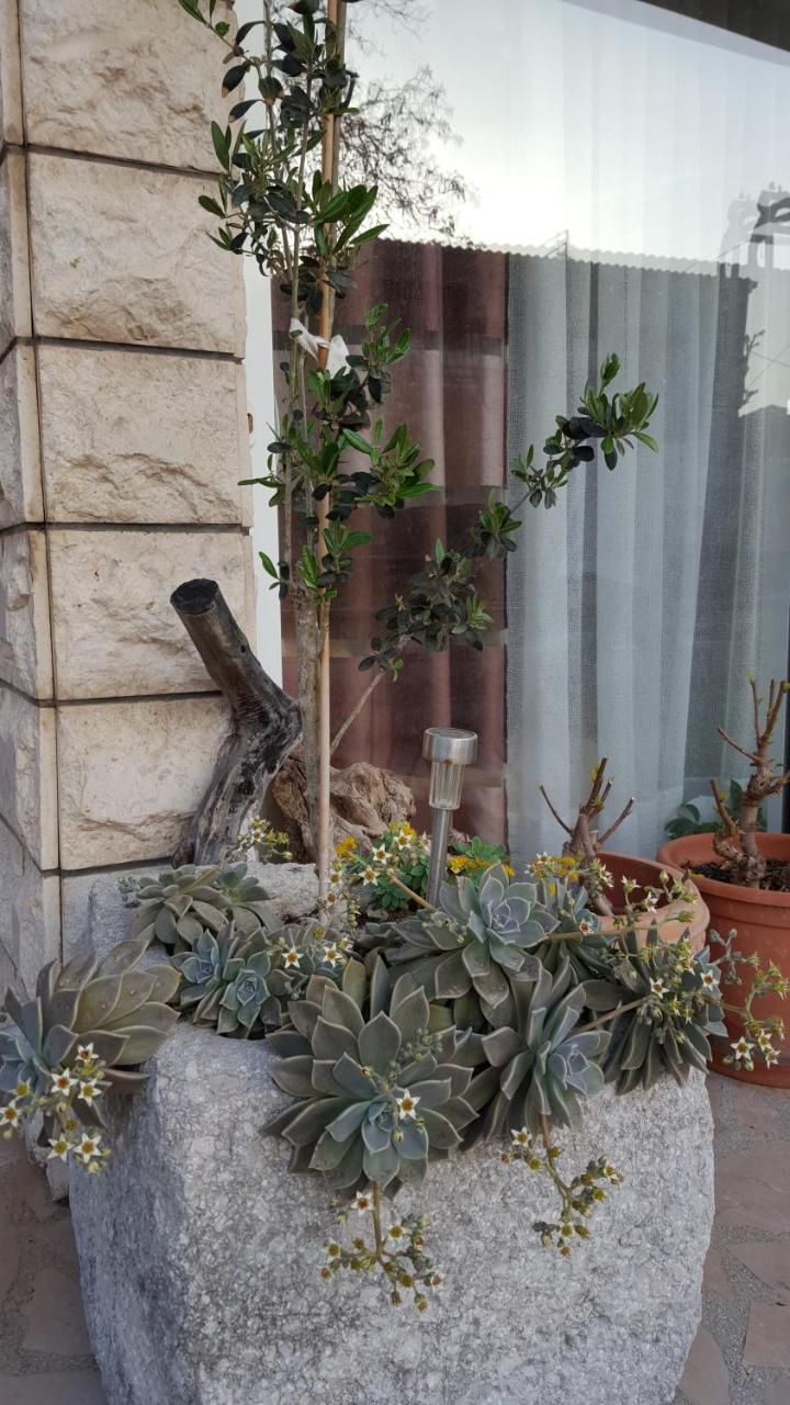 Apartmani Antunovic Podgora Exteriör bild
